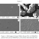 Figure 2 – SEM images of (A) pure PMMA, (B) pure PEO, (C) PMMA/PEO polymer blend and (D) PMMA/PEO/ LiClO4 polymer blend electrolyte films
