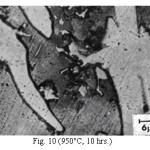 Fig. 10 (950°C, 10 hrs.)
