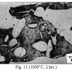Fig. 11 (1000°C, 2 hrs.)