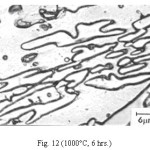 Fig. 12 (1000°C, 6 hrs.)