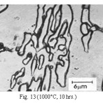 Fig. 13 (1000°C, 10 hrs.)