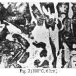 Fig. 2 (800°C, 6 hrs.)