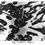 Fig. 3 (800°C, 10hrs.)