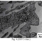 Fig. 4 (850°C 6 hrs.)