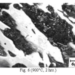 Fig. 6 (900°C, 2 hrs.)