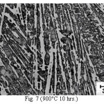 Fig. 7 (900°C 10 hrs.)