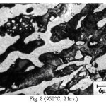 Fig. 8 (950°C, 2 hrs.)