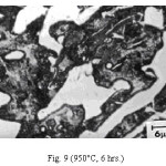 Fig. 9 (950°C, 6 hrs.)