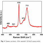 Fig. 4	Raman spectrum of the annealed ZnGa2O4 nanopowder.
