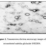Figure 2. Transmission electron microscopy images of reconstituted embelin-gliclazide SNEDDS