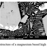 Fig. 1:  Microstructure of a magnesium based high entropy alloy