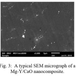 Fig. 3:  A typical SEM micrograph of a  Mg-Y/CaO nanocomposite