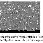 Fig. 4: Representative microstructure of Mg-HEA  (Al35 Mg30Si13Zn10Y7Ca5(at %) composite