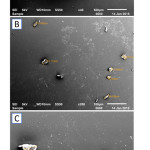 Figure 4: 1. SEM scan of Cloisite®30B-ENC, 1% concentration at 40x. [A]; 200x [B]; 400x [C], smooth surface finish, few bigger agglomerates distinctly visible at surface.
