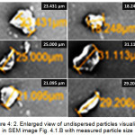 Figure 4: 2. Enlarged view of undispersed particles visualized in SEM image Fig. 4.1.B with measured particle size