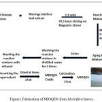 Figure1.Fabrication of MIOQDS from M.oleifera leaves