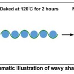 Figure 20: Schematic illustration of wavy shaped PET foil63