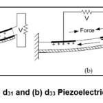 Figure 3: (a) d31 and (b) d33 Piezoelectric Designs17.