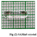 Fig (2) SAMnS crystal