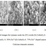 Figure 7: SEM images for (a)nano scale tin (IV) oxide (b) CaSnO3:0. 25% Eu3+ (c) CaSnO3: 0. 50% Eu3+(d) CaSnO3:0. 75% Eu3+ doped nanoscale Calcium stannate ceramic.