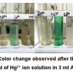 Figure 3: Color change observed after the addition of 1 ml of Hg2+ ion solution in 3 ml AgNPs.