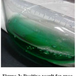 Vol_7_No_1_obt_car_fig_2