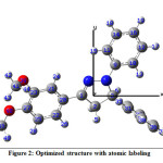 Figure 2: Optimized structure with atomic labeling