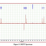Figure 5: DEPT Spectrum 