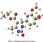 Figure 7: Optimized molecular structure 