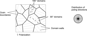 Figure 5: Adopted from A Jbaily and RW Yeung (2015). There are many domains inside each grain or SXL.[19]