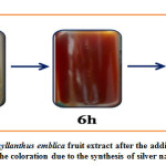 Figure 2: Phyllanthus emblica fruit extract after the addition of silver  salt shows the coloration due to the synthesis of silver nanoparticles.