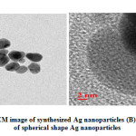 Figure 5: (A) TEM image of synthesized Ag nanoparticles (B) HRTEM image  of spherical shape Ag nanoparticles