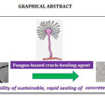 Vol_17_2_AMi_Roc_Abs