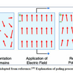 Figure 6: Adopted from reference.[19] Explanation of poling process, vide text.