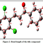 Figure 2: Bond length of the title compound
