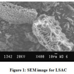 Figure 1: SEM image for LSAC