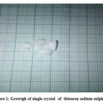 Figure 1: Growtgh of single crystal  of  thiourea sodium sulphate
