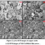 Figure 2: (a-b) SEM images of copper oxide.  (c-d) SEM images of NiO-CuOthick film sensor.
