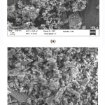 Vol18No1_Ant_Gul_Fig3