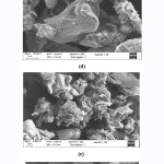 Vol18No1_Ant_Gul_Fig5