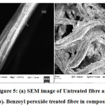 Vol18No1_Sur_Sak_fig5