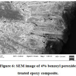 Vol18No1_Sur_Sak_fig6