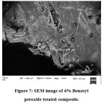 Vol18No1_Sur_Sak_fig7