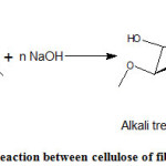 Vol18No1_Sur_Sak_sch1