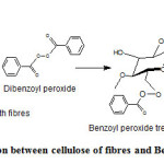 Vol18No1_Sur_Sak_sch2