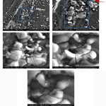 Vol18No2_Mic_Rez_fig5