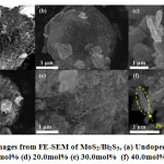 Vol18No2_Var_Sah_fig6