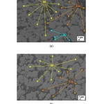 Figure 3: SEM micrographs of (a) W-Cu-Ni 75-24-1, and (b) W-Cu 75-25  sintered contact materials (magnification of 5000x, scale bar of 1 µm)