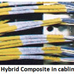 Vol18No1_Rev_abd_Fig4