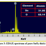 Vol18No1_Sta_Ume_fig3
